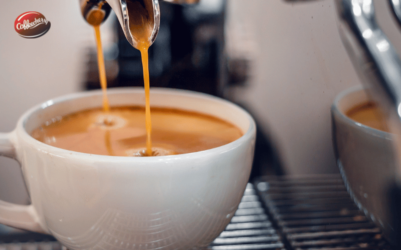 top-5-cach-lua-chon-ca-phe-nguyen-chat-phu-hop-cho-quan-va-nguoi-dung (4)